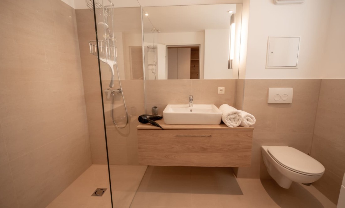 Modern bathroom with shower in the apartment in Waldviertel